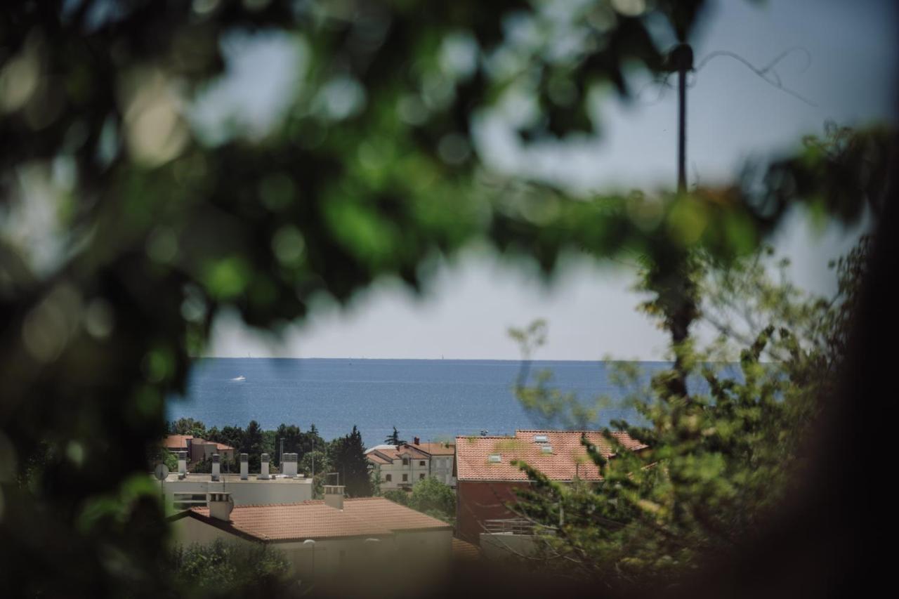 Belvedere Holidays Novigrad  Bagian luar foto